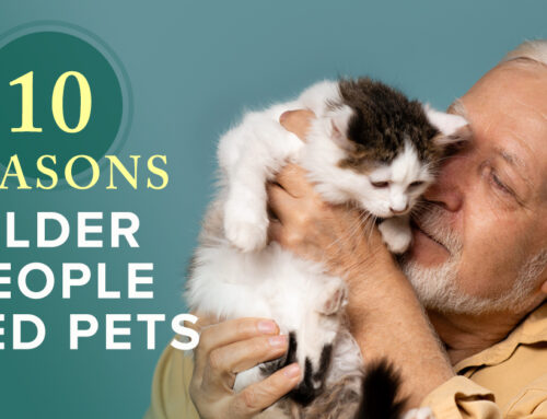 Ten Reasons Older People Need Pets